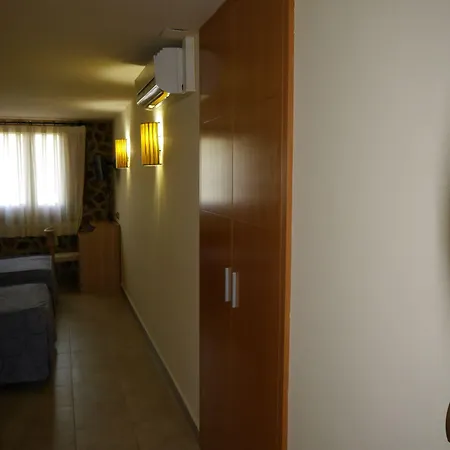 Bavieca 메디나셀리