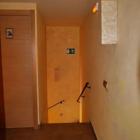 Bavieca 메디나셀리