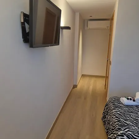 Bavieca 메디나셀리